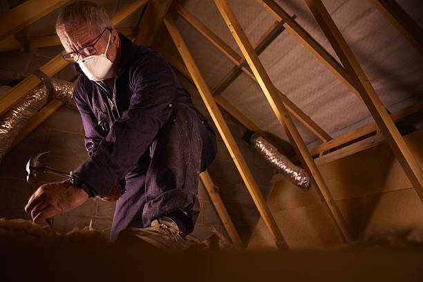 Best Specialty Insulation in Village Of Four Seasons, MO