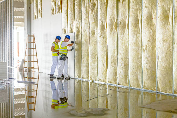 Best Insulation for Specific Applications in Village Of Four Seasons, MO